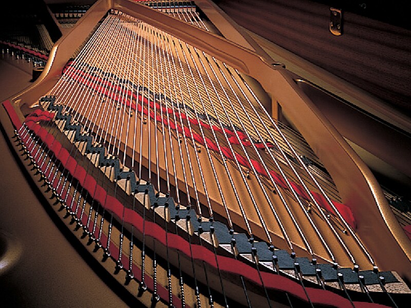 Strings of an acoustic piano