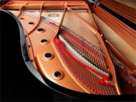 Piano soundboard with strings