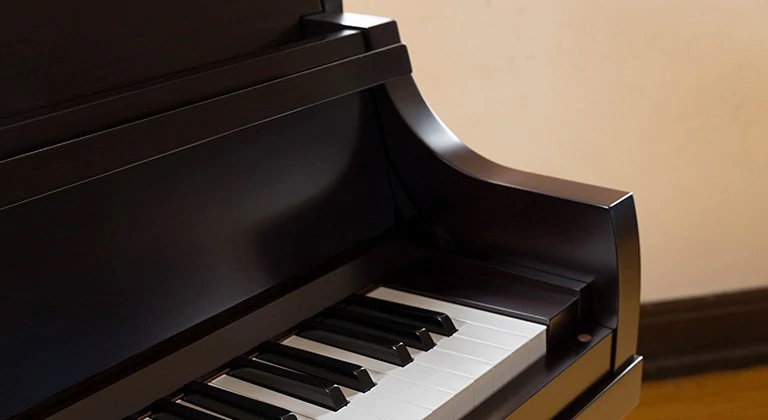 Yamaha P22 Feature Detail