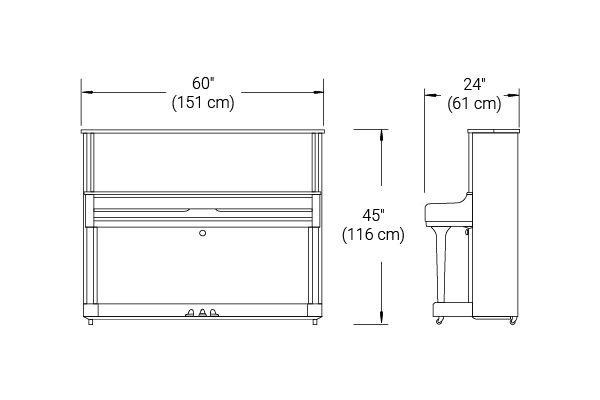 P22 Dimensions