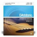 D'Addario EPBB170-5 Regular Light Gauge Long Scale Phosphor Bronze Acoustic Bass Strings (5-string) 45-130