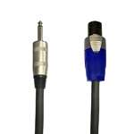 RapcoHorizon 12 AWG Speaker Cable - Jumbo 1/4in to NL2 - 10ft