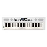 Roland GO:KEYS 5 Music Creation Keyboard - White