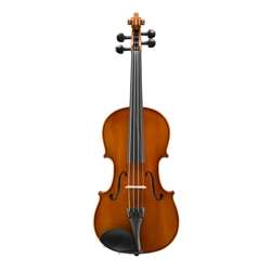 Eastman VL80 Samuel Eastman Violin - Outfit 4/4